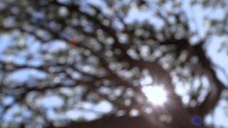 Soulsavers feat. Dave Gahan - Take Me Back Home