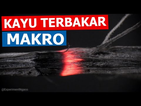 Bikin Hati Jadi Tenang Liat Secara Makro Kayu Dibakar
