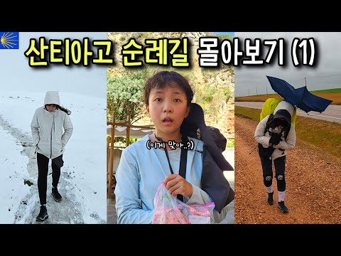 We Almost Gave Up | 779km Full Journey (1)