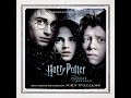 Lumos! (Hedwig's Theme) (Film Version) - John Williams