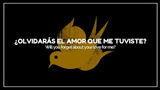 The Crane Wives — Canary in a Coal Mine (sub español-inglés)