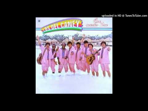 SON FLAMENCO - LOS DEL CANEY - 1987 -  ALBUM # 54 - TEMA : 2114