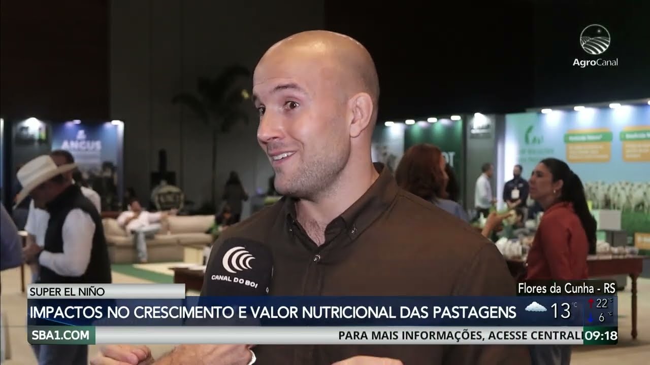 Super El Niño deve trazer impactos diretos no crescimento e valor nutricional das pastagens