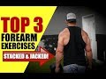 Top 3 Forearm Builders | Chandler Marchman