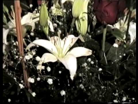 Tele-TV adás 2003.12.18