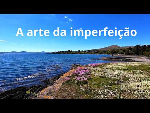 The art of imperfection - Spiritist Moment