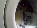 Electrolux Aqualux Washing Machine EW1006f Washing Machine Ariel Excel Gel Non Bio Part 2