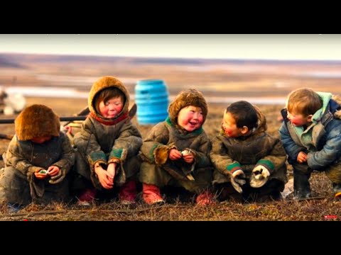 Burgs: Reclaiming Our Heart (The Intelligence behind our life)