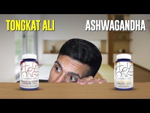 Ashwagandha vs. Tongkat Ali | Hier ist die Wahrheit