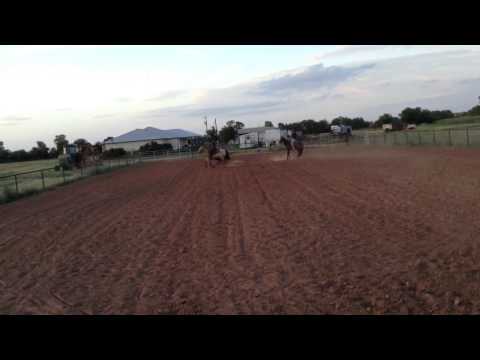 For Sale- 11yo registered Gelding heel/ calf horse