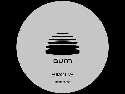 DJ HI-C - TENNOJI [AUM001VA]