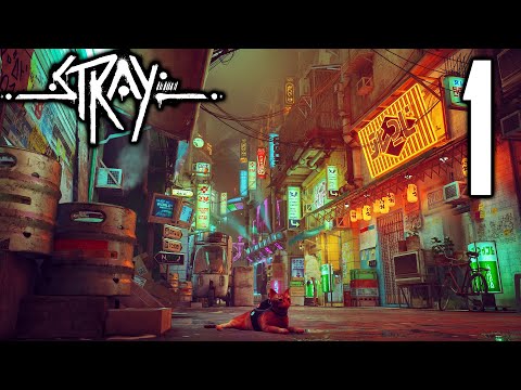 This Is Awesome: Stray Walkthrough Part 1 - Catsg08 Launchin' (PC 4K Gameplay)