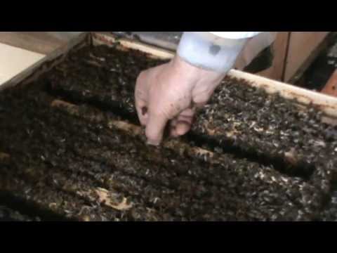 4. Popular Bio Beehive on the hearth (stationary) - Three in One 4/9