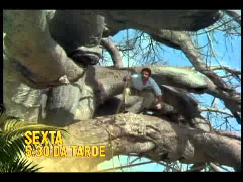 Chamada do Cinema em Casa: "Os Deuses Devem Estar Loucos 2" (11/02/11) - Sbt