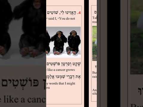 Easy Hebrew Songs With Yoeli, Sounds of Silence