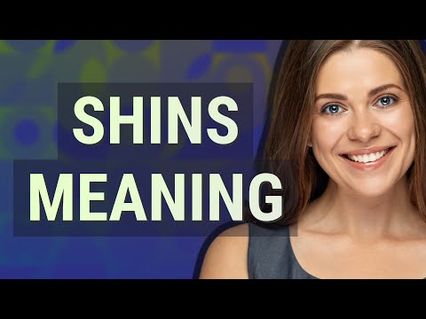 Shins | meaning of Shins