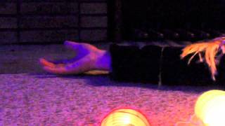 RACKMASTAS: Mastacave / Alec Eiffel (cover)