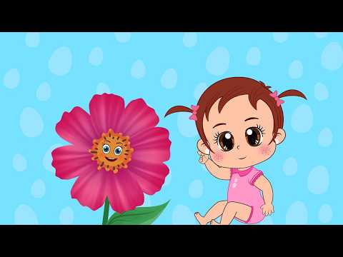 Eğitici ve Eğlenceli Bebek ve Çocuk Şarkıları🎶Çizgi Film🌞🌻⏰Üç Şarkı Bir Arada