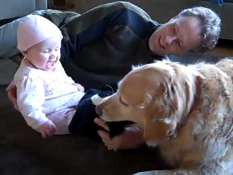 CJR Claire vs. Hanna