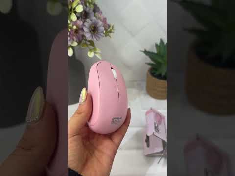 MOUSE INALAMBRICO