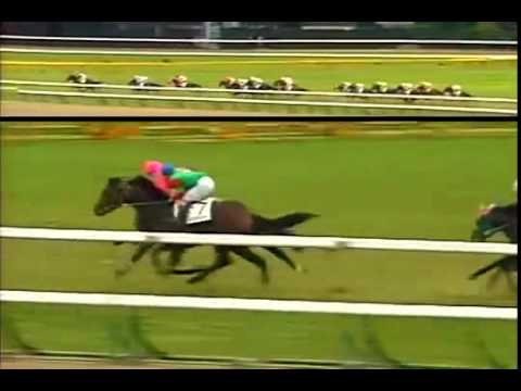 １９９４ 日本ダービー ナリタブライアン