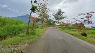 Download lagu DAY 1 BIKIN CHANNEL YOUTUBE BARU VIEWS GUNUNG LAWU JAMUS SINE NGAWI mp3 Download lagu DAY 1 BIKIN CHANNEL YOUTUBE BARU VIEWS GUNUNG LAWU JAMUS SINE NGAWI mp3