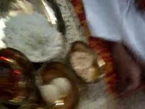 Annaprashan of Srijoni