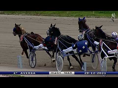 Aversa trotto 29 Dicembre 2021 - 2° Corsa