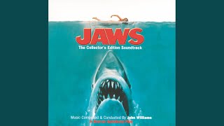 The Great Shark Chase