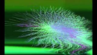 Too $hort   Chase The Cat