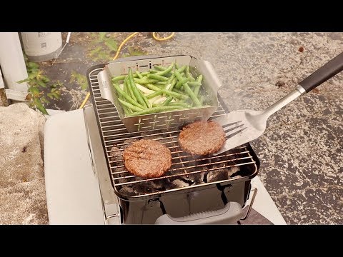 Best Portable Grill Weber Go Anywhere Review