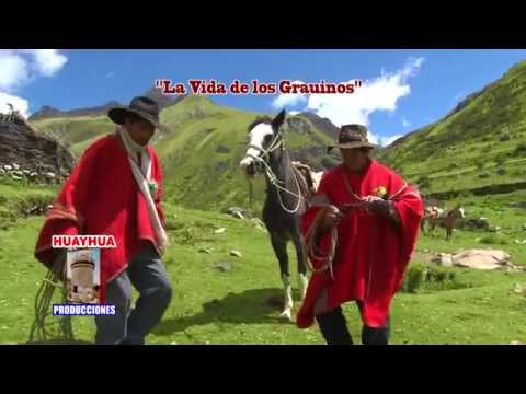 Conjunto Aficion Sangre Grauina - Hualaycho Grauino HUAYHUA PRODUCCIONES