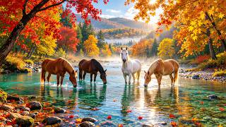 Peaceful Fall Music 🍂 Calm Nature Sounds & Beautiful Relaxing Music
