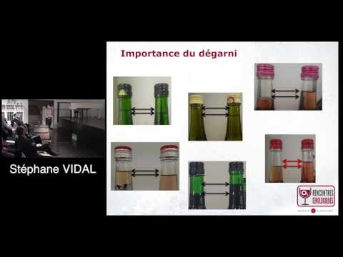 Rencontres Oenologiques Beaune - Stéphane Vidal