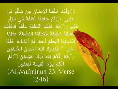 (Al-Mu'minun 23: Verse 12-16)