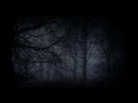 11. Pestek- Zbyt Często  ''Już Nie Ten Sam''