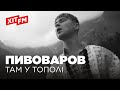 Артем Пивоваров – Там у тополі (Фан–зона Хіт FM. Новорічна)