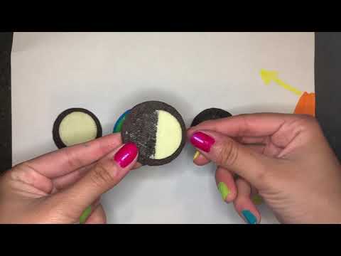 Moon Phase Oreo Style Daily Planner