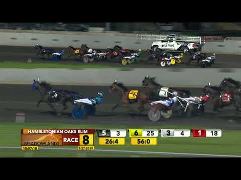HAMBLETONIAN OAKS ELIM - RACE 8 - July 27, 2019
