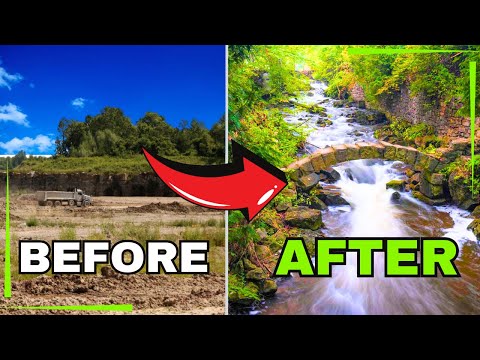 What 200 YEARS of REWILDING Looks Like