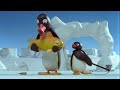 Pingu S05e12 Like Father Like Pingu Dvdrip Xvid
