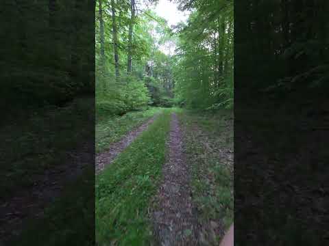 one of the many trails available within walking distance of campsites