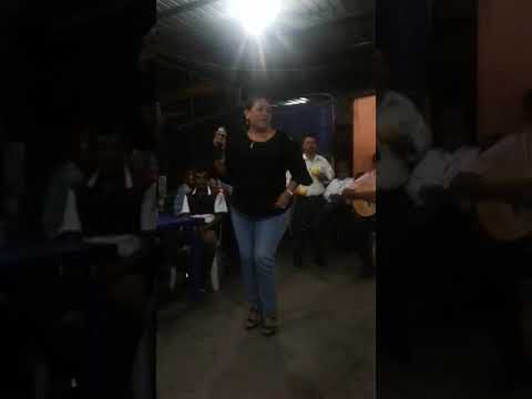 Me das pena ( la guayabita)