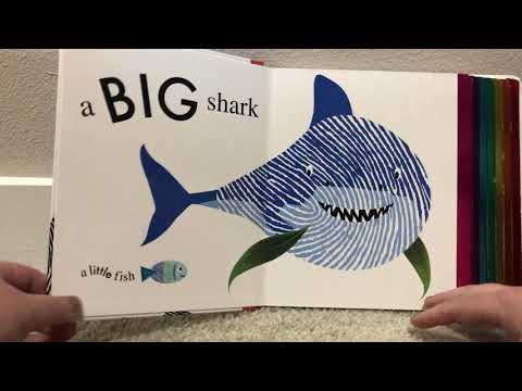 Animal Opposites - Priddy Books