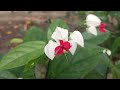 জেসিকা শবনম বাংলা নতুন চটি গল্প L New Choti Golp