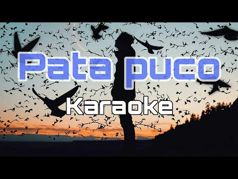 PATA PUCO (KARAOKE) TERBARU, lagu nagi.