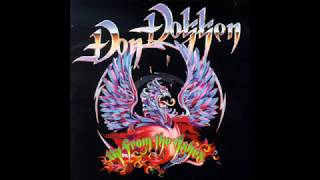 Don Dokken   When Some Nights