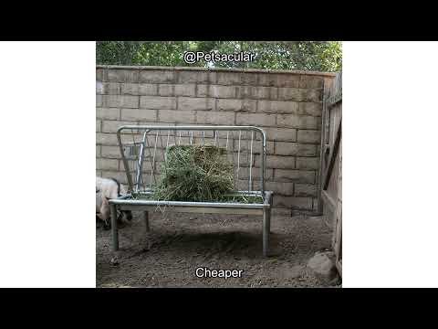 Rugged Ranch Ratinator No Poison, Multi Catch Live Animal Rat Catch and Release Cage Trap Review