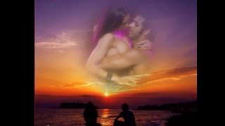 Die Flippers --  Die rote Sonne von Barbados