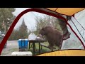 BANNED Harold Camping Commercial From 2007 FOUND